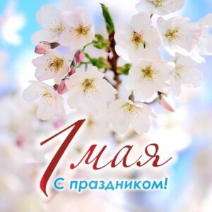 Изображение новости