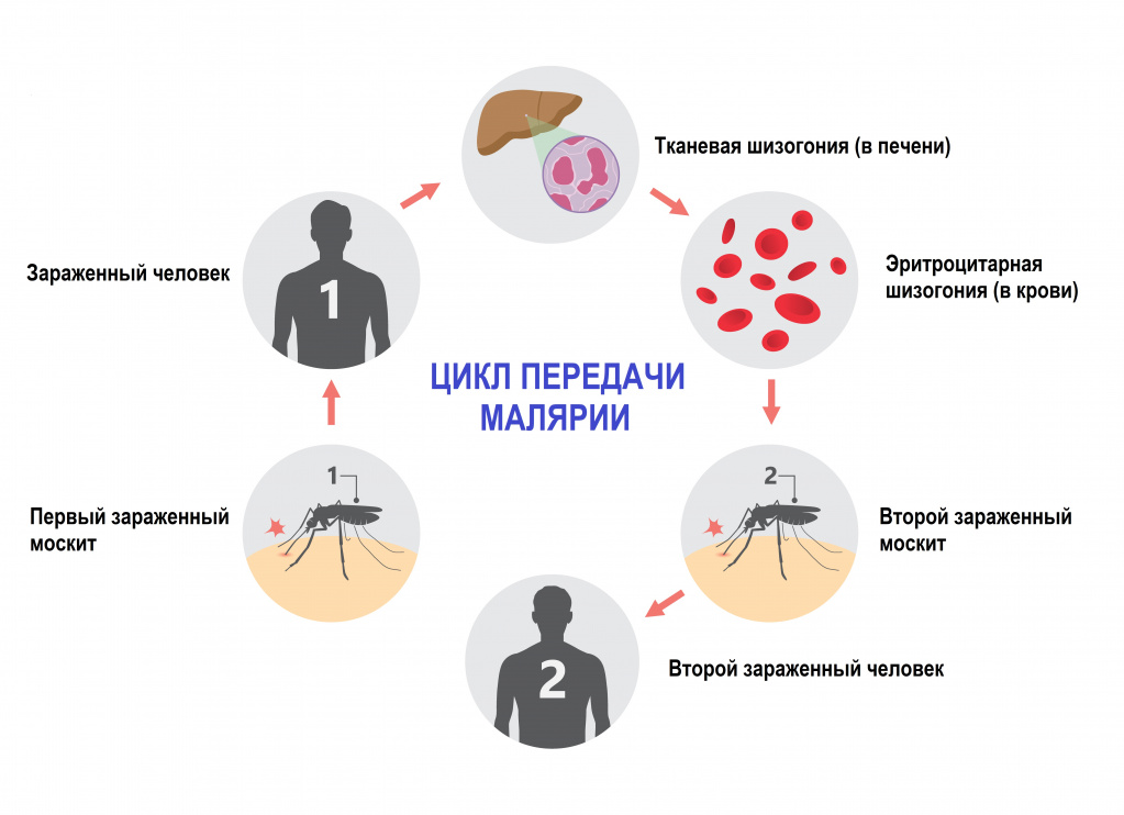 Изображение новости