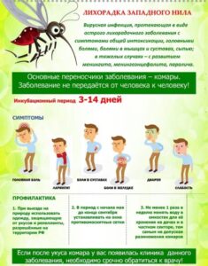 Изображение новости