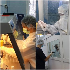 Изображение новости