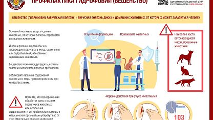 Изображение анонса новости