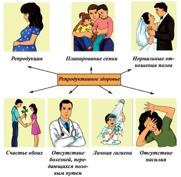 Картинки про репродуктивное здоровье