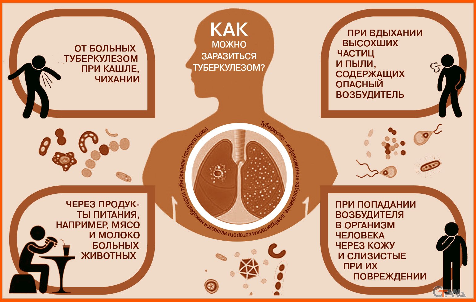 Какое заболевание развивается у человека при заражении простейшими изображенным на рисунке 2