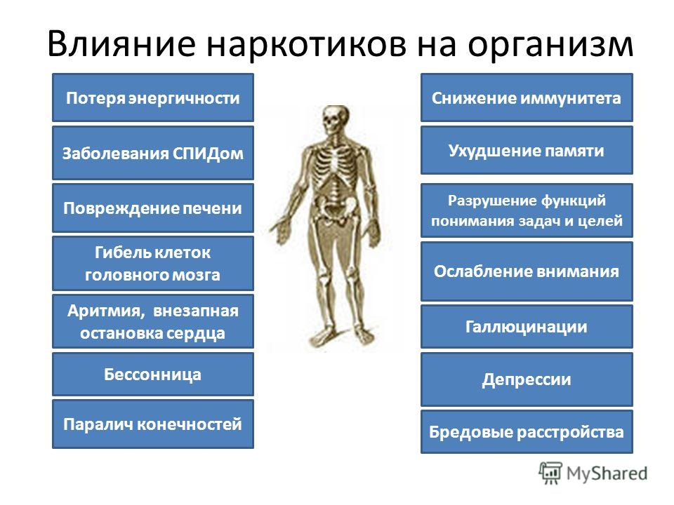 Какое влияние на организм и психику оказывает пластическое изображение