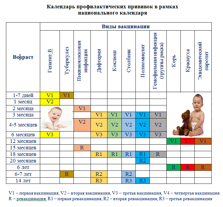 План прививок в детской поликлинике на педиатрическом участке составляет